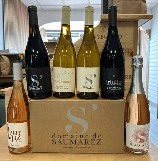 Domaine de Saumarez essential 6 mixed case 